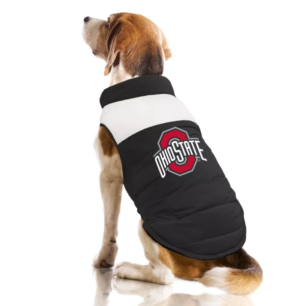 a dog with a black and white ohio state buffer vest on sits facing away